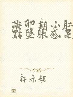 排卵期小肚子有点坠胀感是排卵了吗