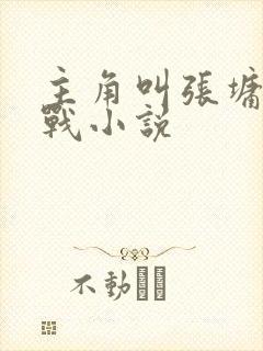 主角叫张墉的谍战小说