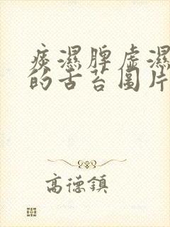 痰湿脾虚湿气重的舌苔图片