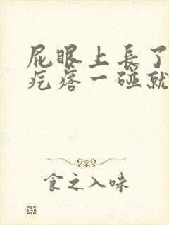 屁眼上长了个硬疙瘩一碰就疼封面