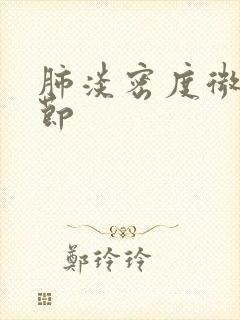 肺淡密度微小结节