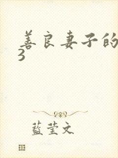 善良妻子的朋友3