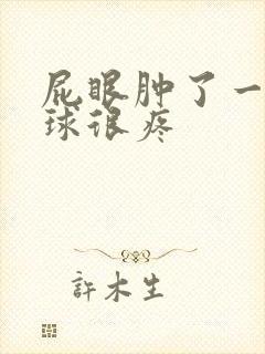 屁眼肿了一个肉球很疼封面