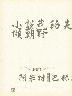 小说我的夫君权倾朝野