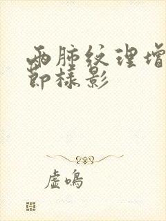 两肺纹理增多结节样影