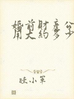 婚前财产公证费用大约多少钱