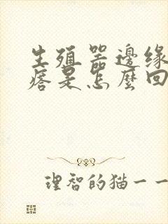 生殖器边缘起疙瘩是怎么回事