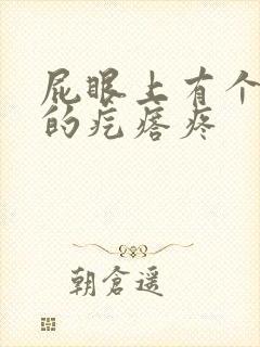 屁眼上有个硬硬的疙瘩疼