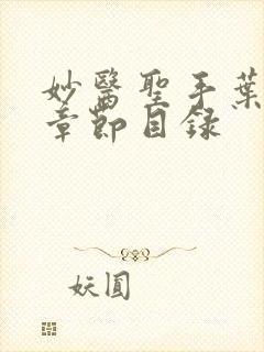 妙医圣手叶皓轩章节目录