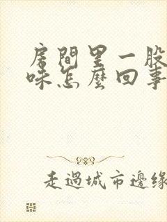 房间里一股尿骚味怎么回事