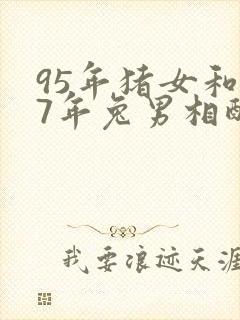 95年猪女和87年兔男相配吗