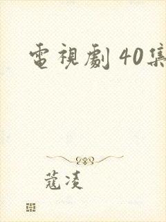 电视剧 40集