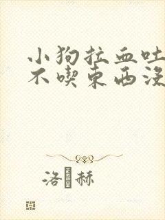 小狗拉血吐白沫不吃东西没精神