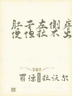 肚子左侧疼想大便但拉不出来