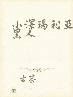 小泽玛利亚vs黑人