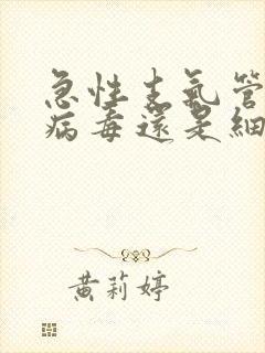 急性支气管炎是病毒还是细菌感染