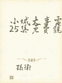 小城大事电视剧25集免费观看