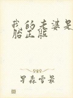 我的老婆是双胞胎正版