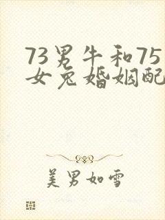 73男牛和75女兔婚姻配吗封面