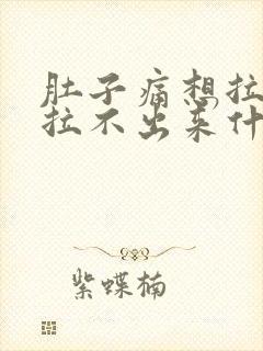 肚子痛想拉稀又拉不出来什么原因