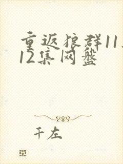 重返狼群11集12集网盘
