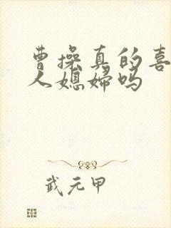 曹操真的喜欢别人媳妇吗封面