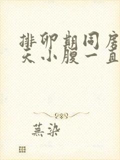 排卵期同房后5天小腹一直隐隐作痛封面