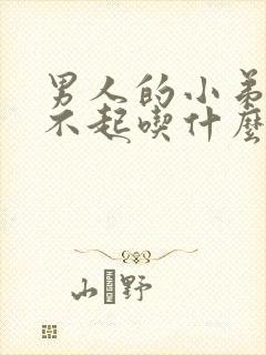 男人的小弟弟硬不起吃什么药