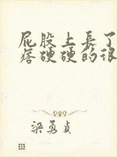 屁股上长了个疙瘩硬硬的很疼