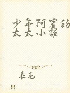 少年阿宾的房东太太小说