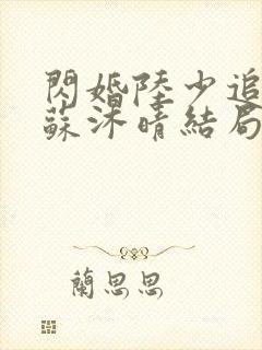 闪婚陆少追妻忙苏沐晴结局