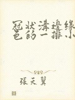 冠状沟边缘长肉色的一排小疙瘩