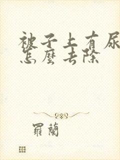 被子上有尿骚味怎么去除