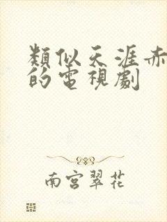 类似天涯赤子心的电视剧