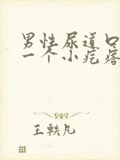 男性尿道口长了一个小疙瘩怎么回事封面