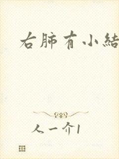 右肺有小结节影