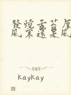 发烧舌苔厚白是风寒还是风热