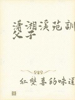 潇湘溪苑训诫文父子封面