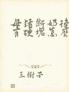 母猪断奶后乳房有硬块怎么办