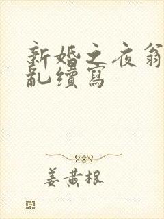 新婚之夜翁莹情乱续写封面