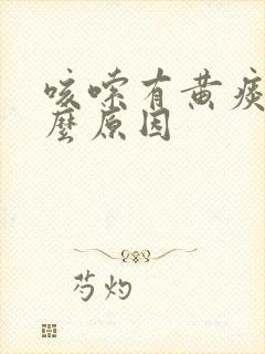 咳嗦有黄痰是什么原因