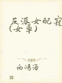 反派女配宠夫记(女尊)