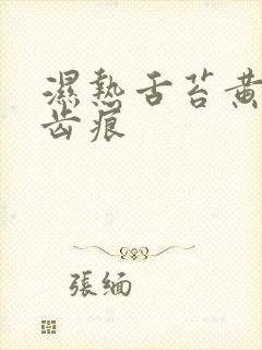 湿热舌苔黄腻有齿痕