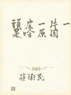 头皮一片一片白是啥原因封面