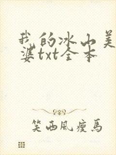 我的冰山美女老婆txt全本封面