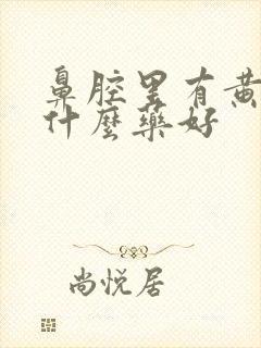 鼻腔里有黄痰吃什么药好