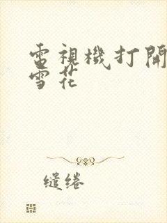 电视机打开出现雪花