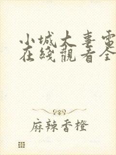 小城大事电视剧在线观看全集34集