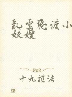 乱云飞渡小说之姣嫂封面