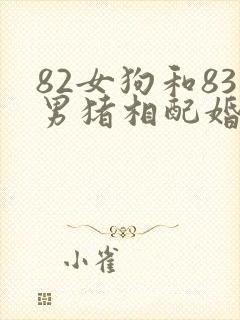 82女狗和83男猪相配婚姻如何封面